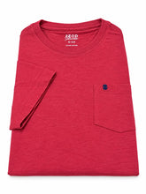 TSHIRT IZOD NUEVA COLECCION