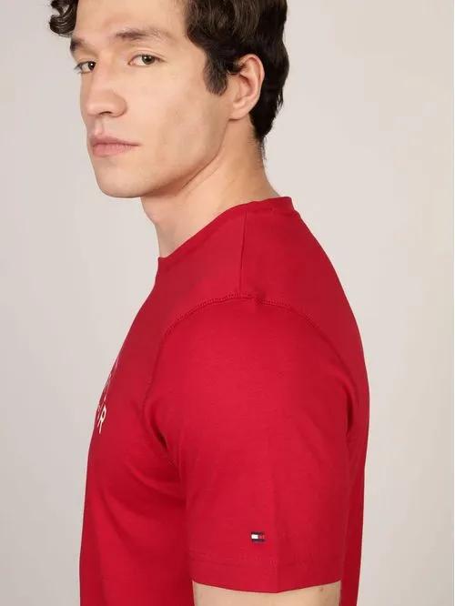 TSHIRT DISEÑO HOMBRE TOMMY