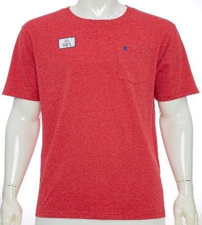 TSHIRT IZOD