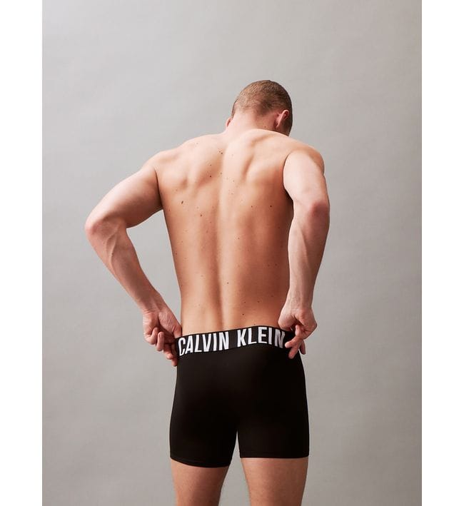 PACK 3 BOXER CALVIN KLEIN MICROFIBRA