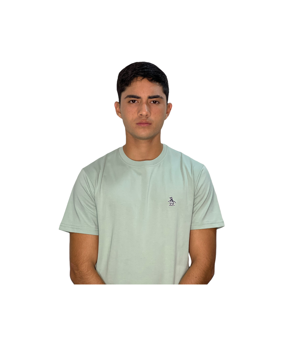 TSHIRT HOMBRE PENGUIN UNICOLOR