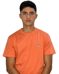 TSHIRT HOMBRE PENGUIN UNICOLOR
