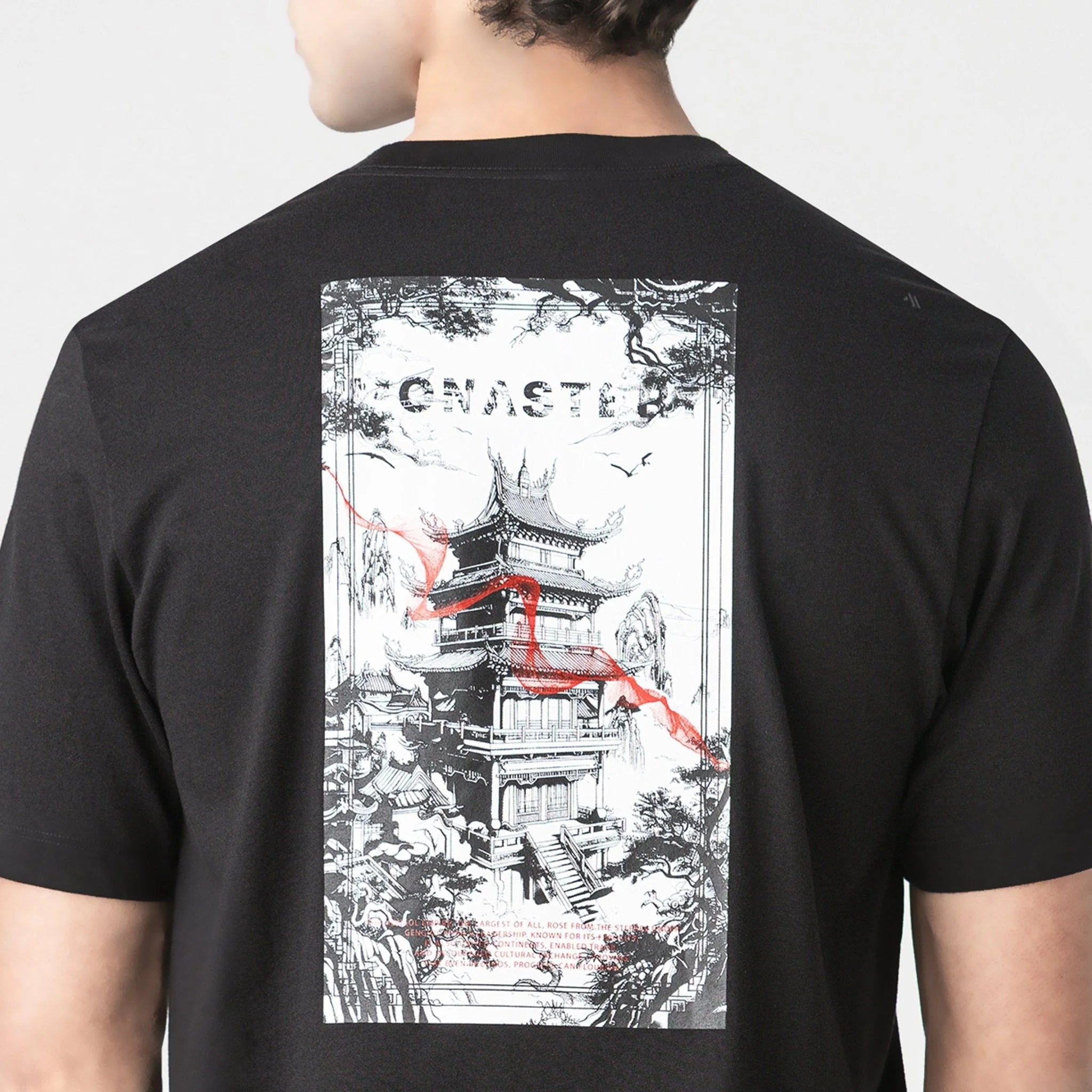 NUEVA COLECCION TSHIRT MONASTERY