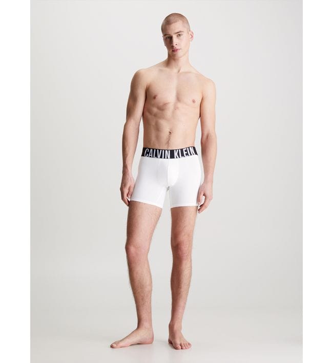 PACK 3 BOXER CALVIN KLEIN MICROFIBRA