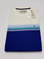 TSHIRT HOMBRE PENGUIN DISEÑO